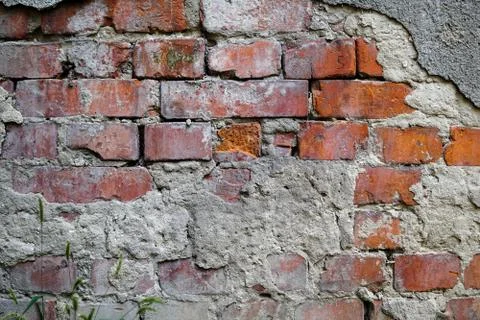 An old brick wall with gray plaster. Red brick. Texture, background Foto stock