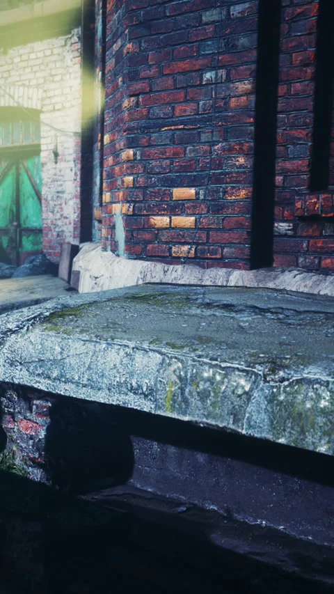 Old brick wall with green door near water at an abandoned site Stock Footage 342653338