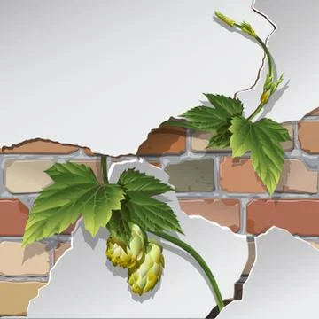 Old brick wall Stock Illustration