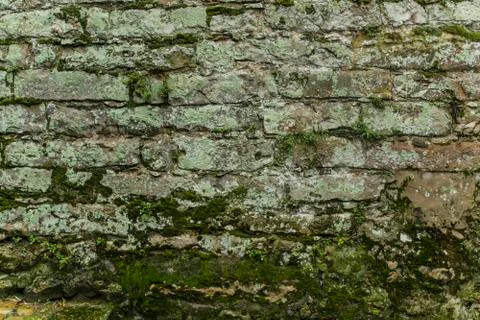 Old Brick Wall with Moss Fotos de archivo