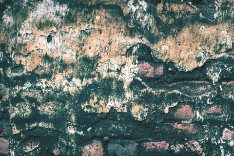 Old Brick Wall with Moss texture background Foto stock