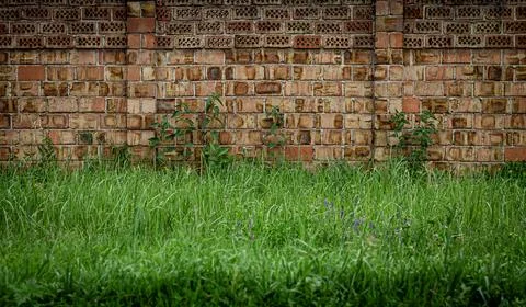 Old brick wall with nice texture and green grass under it Stock Photos