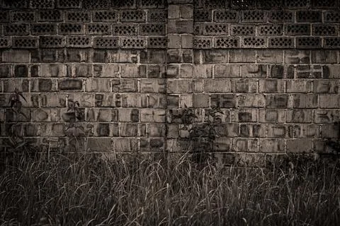 Old brick wall with nice texture and green grass under it in sepia filter Stock Photos