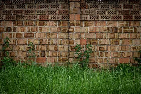 Old brick wall with nice texture and green grass under it Stock Photos