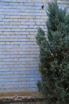 Old brick wall, old texture of stone blocks closeup Stock Photos