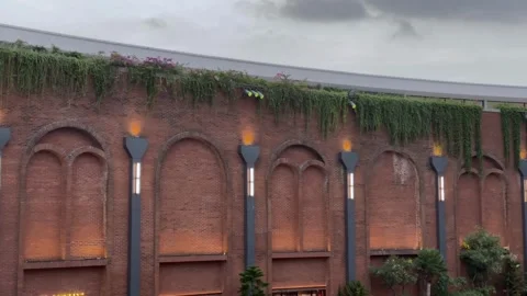 An old brick wall overgrown with Climbing plants under a dramatic cloudy sky. Stock Footage 320475587