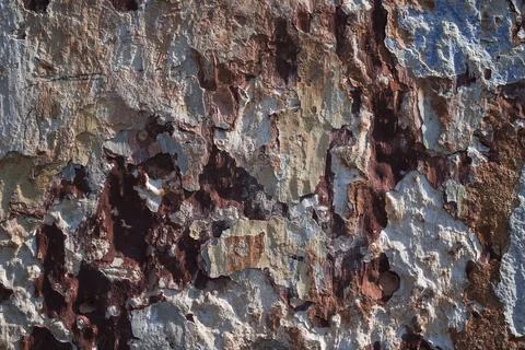 Old brick wall with peeling plaster , background for design . Copy space , .. Stock Photos