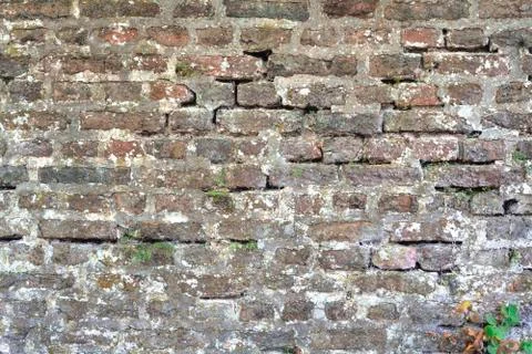 Old brick wall Stock Photos