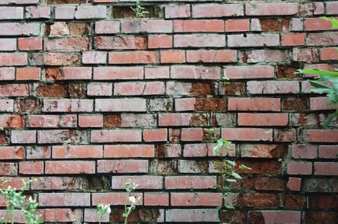 Old brick wall Stock Photos