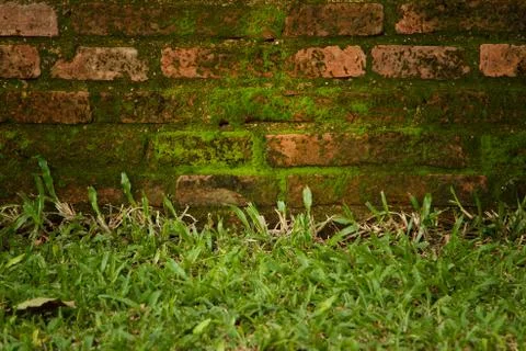 Old brick wall Stock Photos