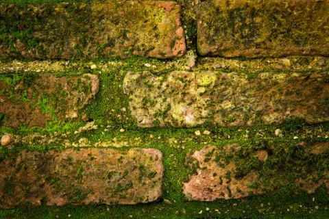 Old brick wall Stock Photos