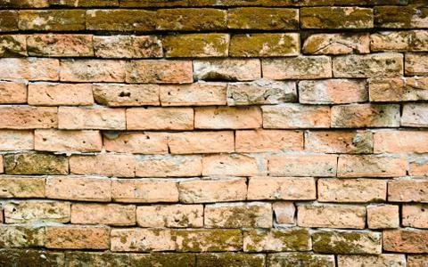 Old brick wall. Stock Photos