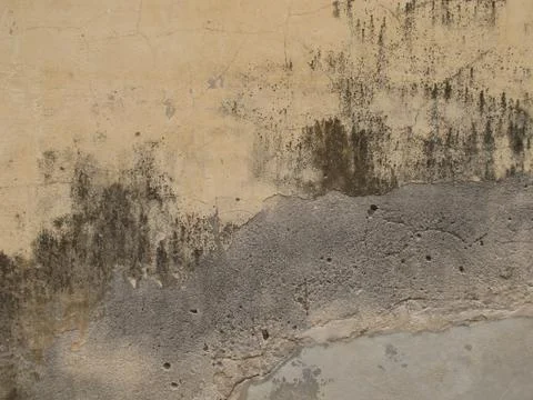 Old brick wall Stock Photos