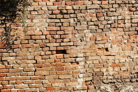 Old brick wall Stock Photos