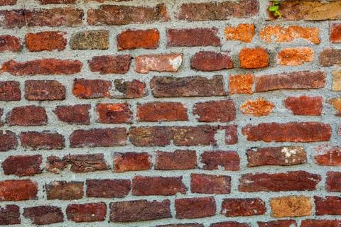 Old brick wall Stock Photos