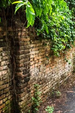 Old brick wall Stock Photos