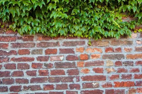 Old brick wall Stock Photos