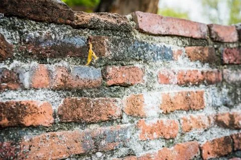Old brick wall Stock Photos