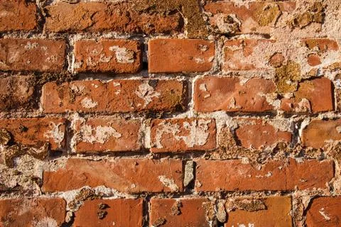 Old brick wall Stock Photos