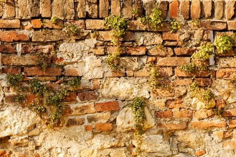Old brick wall Stock Photos