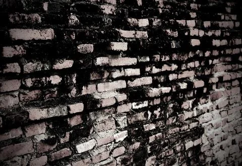 Old brick wall Stock Photos