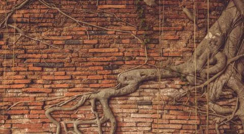 Old brick wall Stock Photos