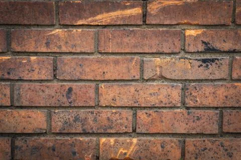 An Old Brick Wall Stock Photos