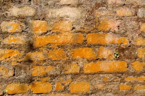 Old brick wall Stock Photos
