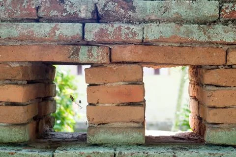 Old brick wall Stock Photos