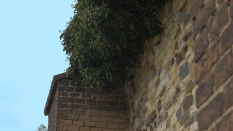 Old brick wall in Prague Stock Footage 117682410