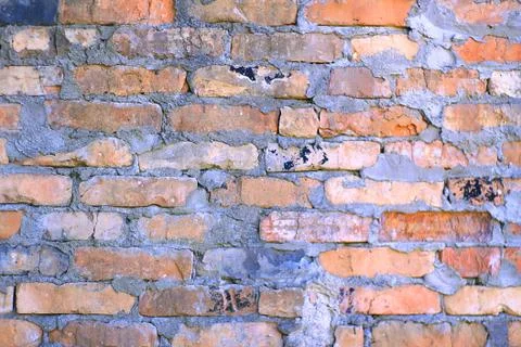 Old brick wall in prison. Stock Photos