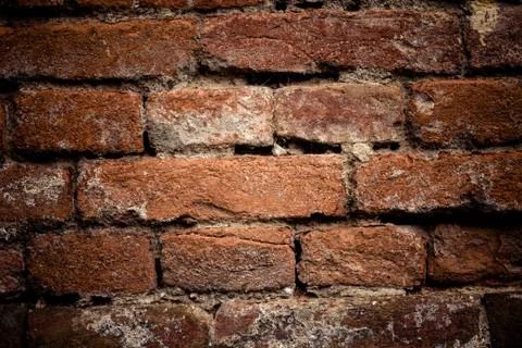 Old brick wall. Retro background. Closeup. Stock Photos