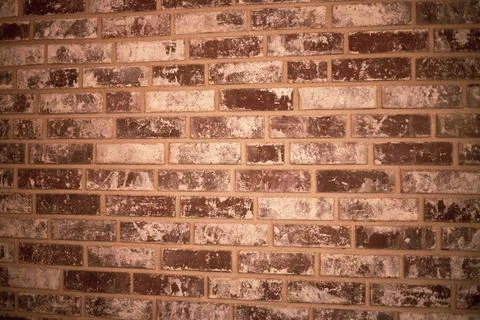 Old brick wall with shadow texture can be use as background Foto stock