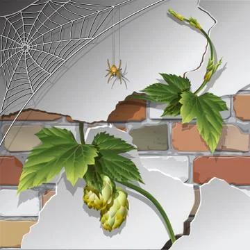 Old brick wall with spider web Stock Illustration
