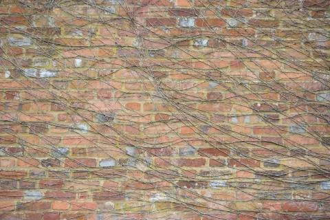 Old brick wall - texture, background Stock Photos