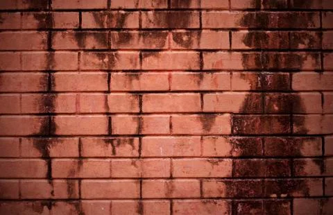 Old brick wall texture in a background image Stock Photos