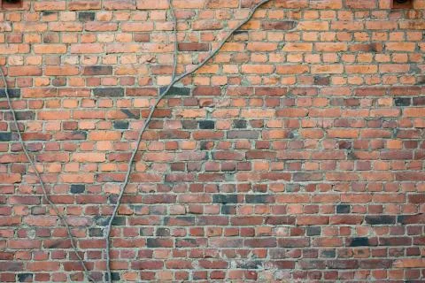 Old brick wall texture background Stock Photos