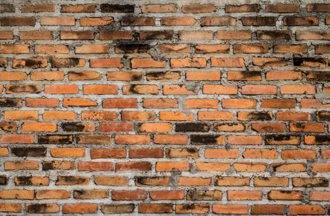 Old brick wall texture background Stock Photos