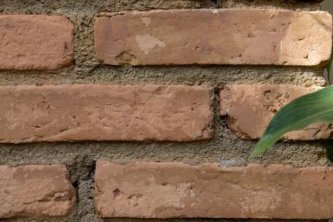Old brick wall texture background Stock Photos