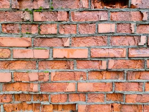 Old brick wall texture. Brick wall of historical bricks. Stock Photos
