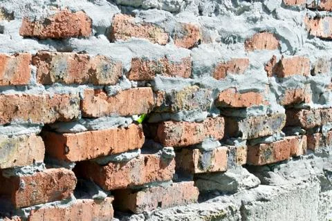Old brick wall texture close-up background Stock Photos