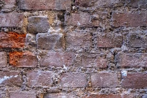  Old Brick Wall Texture with Mold Stock Photos