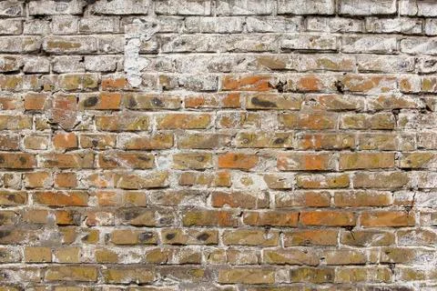 Old brick wall texture. Stock Photos