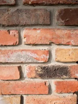 Old brick wall texture vertical background 库存照片