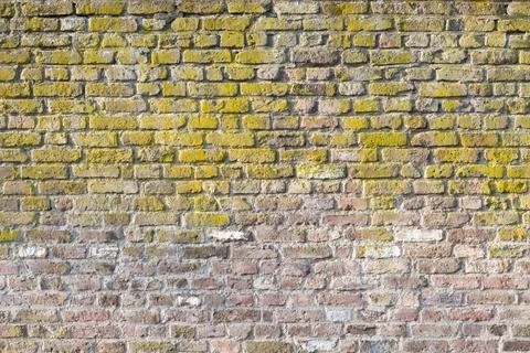 An old brick wall weathered with missing cement joints Stock Photos