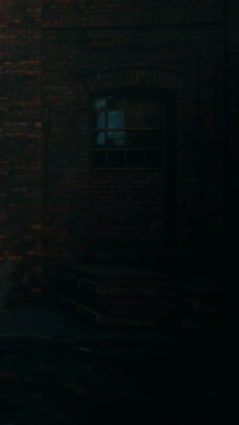 Old brick wall with a window and stairs in a dim area during evening Stock Footage 338421373