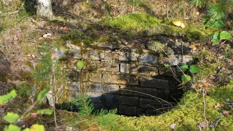 An old brick well in the forest Stock Footage 139591909