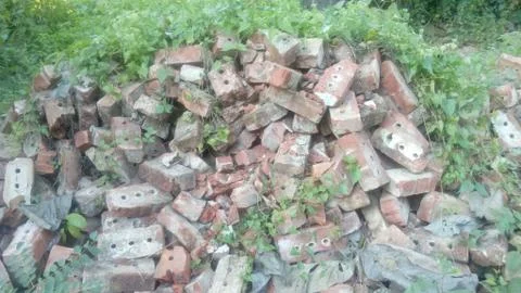Old bricks on the hill forest 스톡 사진