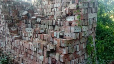 Old bricks on the hill forest 스톡 사진
