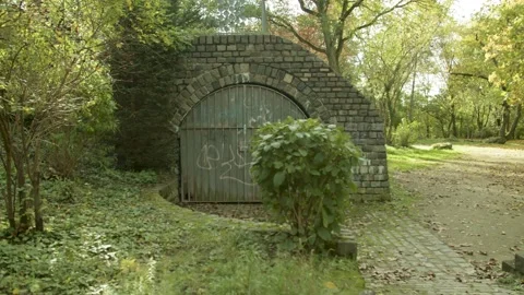 Old Bricks House in the Middle of the Forest / Park / Nature  Vídeos de archivo 132866917